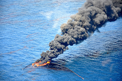 2015 317 Mixed Catch BP spill NOAA