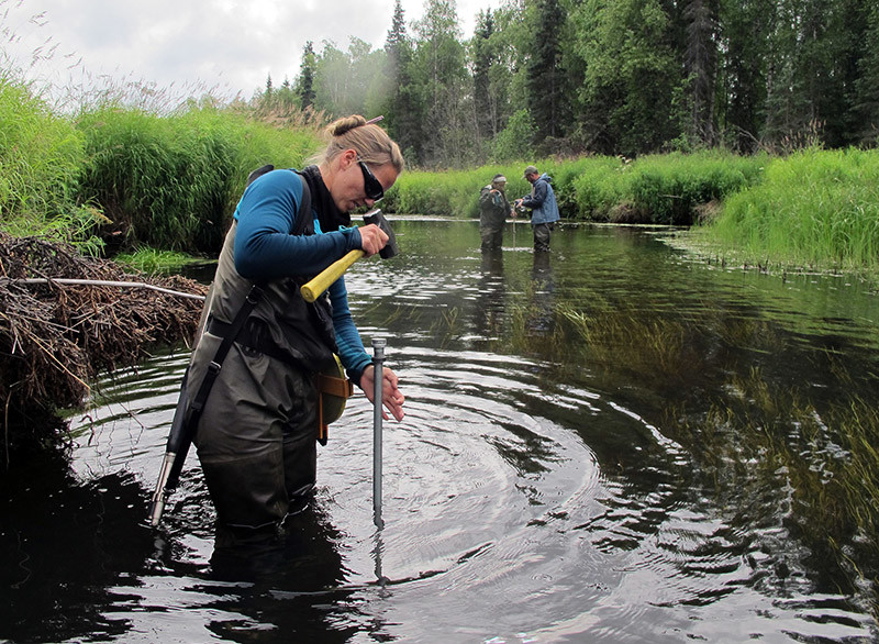 Alaska Fish & Game workers on Rabideux Creek, a tributary to the Susitna River near Talkeetna, Alaska, take readings as part of habitat measurements and fish assessments to better understand what spawning conditions are preferred by salmon here. USFWS ph.