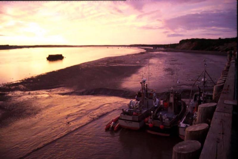 Salmon gillnetters in Bristol Bay, Alaska. National Fisherman file photo by Sam Smith.