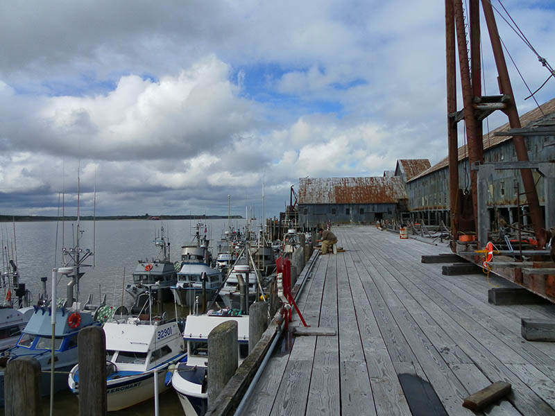 Bristol Bay salmon boats tied up. USCG photo.