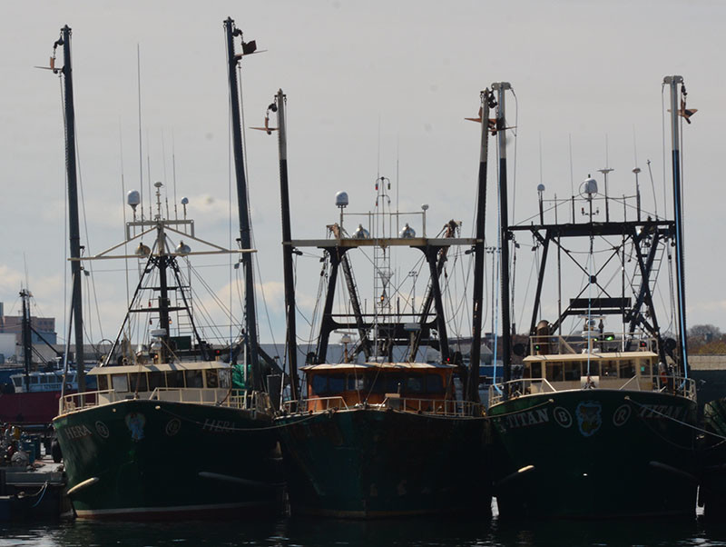 Carlos Seafood boats tied up in New Bedford, Mass., in 2016. Doug Stewart photo.