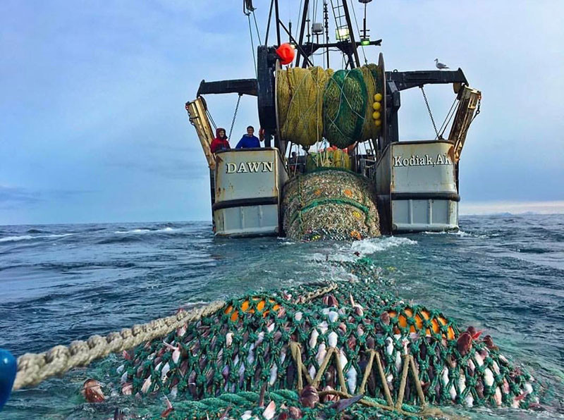 The trawler Dawn from Kodiak, Alaska, catching pollock. Photo by Michael Nelson.