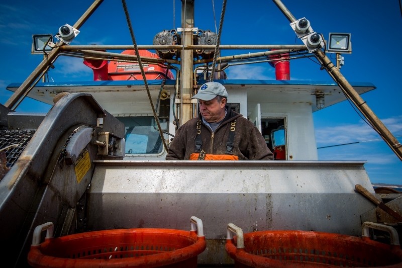 Captain Christopher Brown on the Proud Mary out of Rhode Island sorts sorts fish under electronic monitoring cameras. Photo by Ayla Fox/Nature Conservancy.