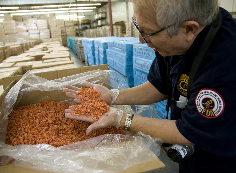 An FDA field inspector checks imported shrimp for signs of contamination or spoilage, and prepares samples for laboratory analysis. FDA photo.