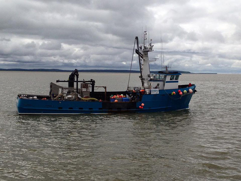 The crabber Destination. Photo courtesy Capt. Casey McManus via Facebook.
