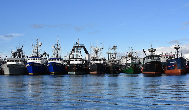 A full dock at Fishermen's Terminal in Seattle. Fishing fleets coast to coast have been largely idled by restaurant shutdowns and dropoff in demand. Doug Stewart photo.