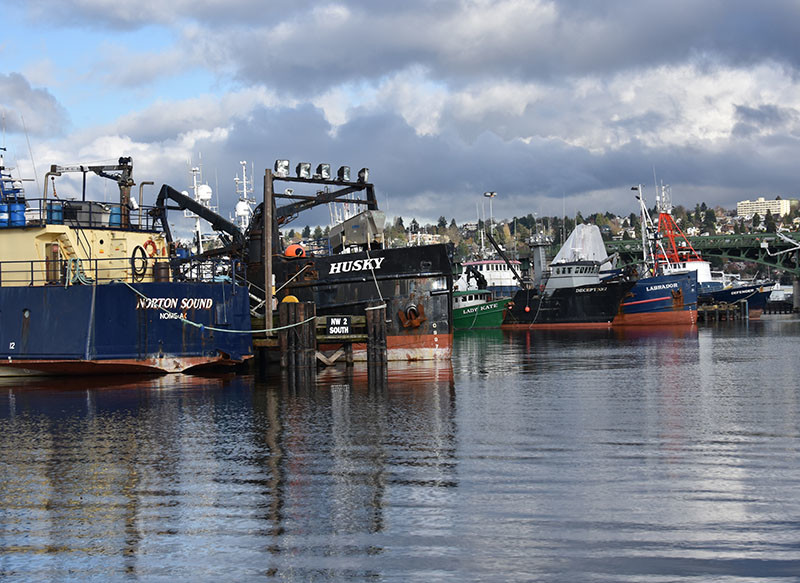 Boats tied up at Fishermen's Terminal, Seattle. Doug Stewart photo.