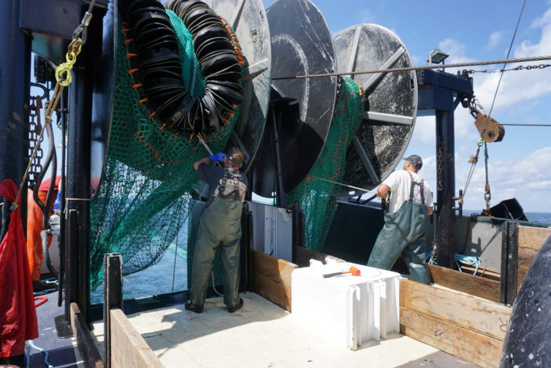 Summer Flounder Trawl