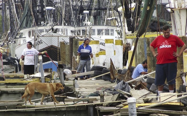 Gulf Seafood Foundation