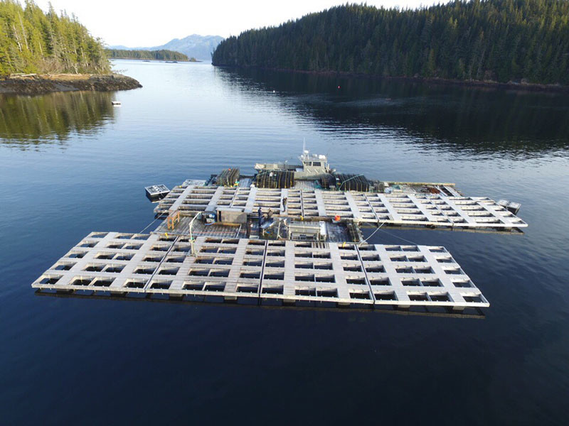 Hump Island Oyster Co. was named 2016 Entrepreneur of the Year by the Ketchikan Chamber of Commerce. Hump Island Oyster Co. photo.