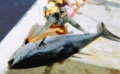 Japan: Cut bluefin tuna catch by half | National Fisherman