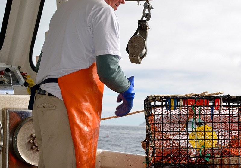 Lobsterman lobster boat Pixabay