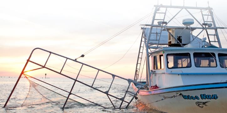 Louisiana landings of shrimp and other species or down sharply with high water and Mississippi River spillway openings this spring. Louisiana Department of Wildlife and Fisheries photo