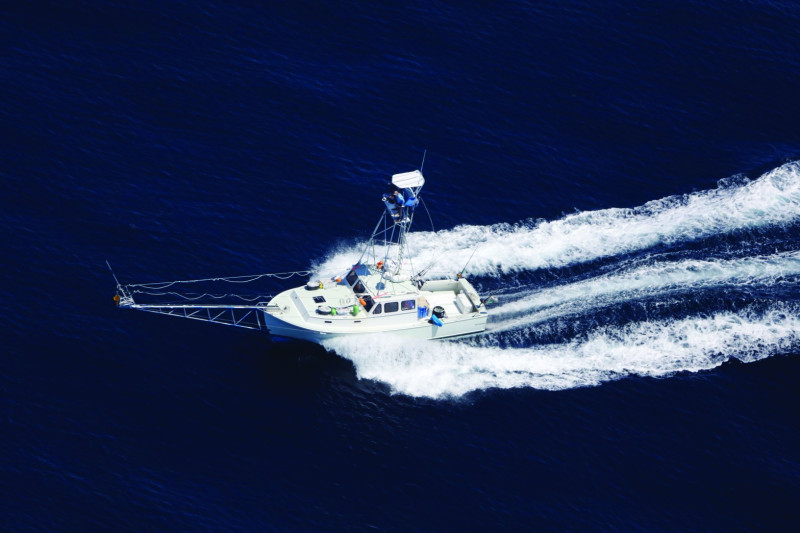 Maggie_Corky Decker_Harpoon