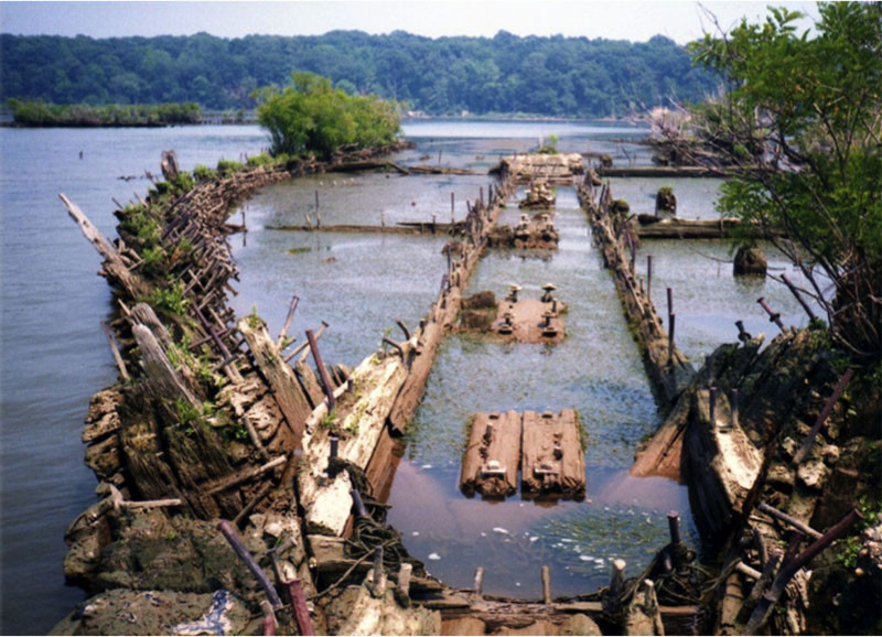 Low tide shows the hull frame of one of the wrecks that rests in a proposed sanctuary area in Mallows Bay. NOAA photo by Don Shomette.