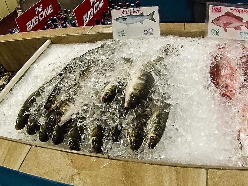 Mullet for sale in Florida in March 2017. Creative Commons photo by Flickr user Kari Nousiainen.