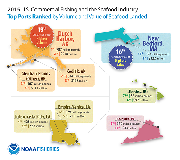 NAT FUS2015 Infographics 091416 2 600wide