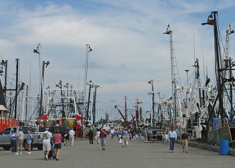Members of the public explore the docks of New Bedford during a past edition of the city's annual Working Waterfront Festival. Image courtesy New Bedford Working Waterfront Festival.