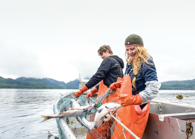 Quality handling is more important than ever across the Alaska seafood industry. Blythe Thomas photo.