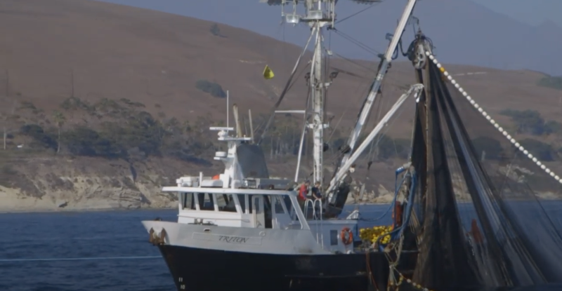 A purse seiner off the California coast. California Wetfish Producers Association video image.
