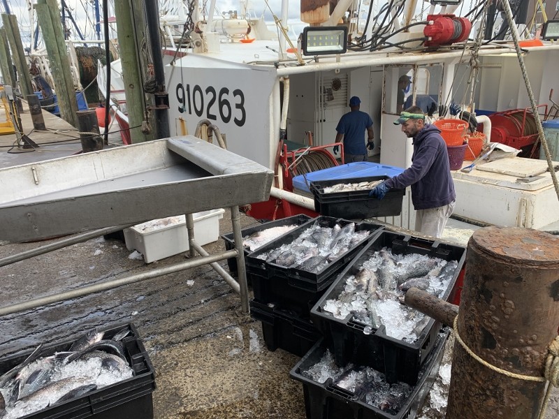 The crew of the Arianna Maria unloads a catch at the Fishermen's Dock Cooperative in Point Pleasant Beach, N.J. A collapse in restaurant supply demand as a result of coronavirus caused many boats to tie up in spring 2020. Fulfill photo.