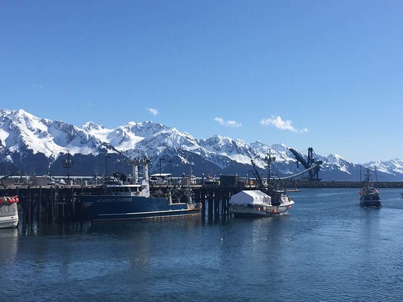 A sparkling April day in Seward, Alaska. Jessica Hathaway photo.