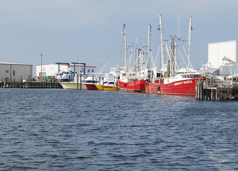 Shrimp boats tied up in Wanchese, NC. Creative Commons photo by Geographer.