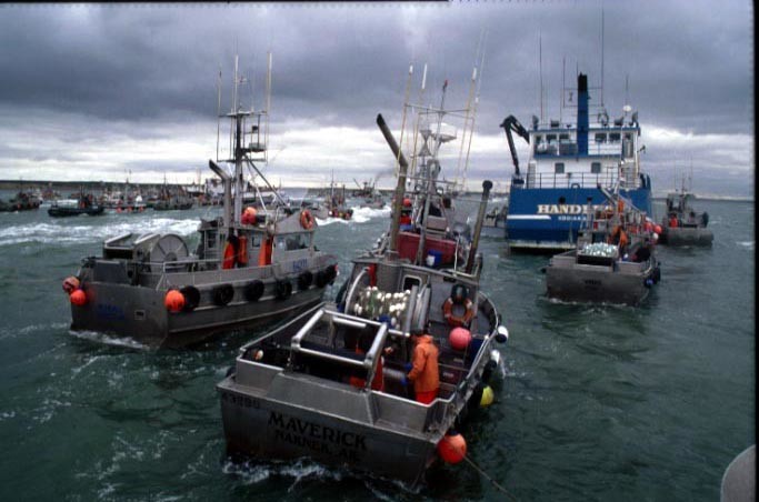 Bristol Bay gillnetters