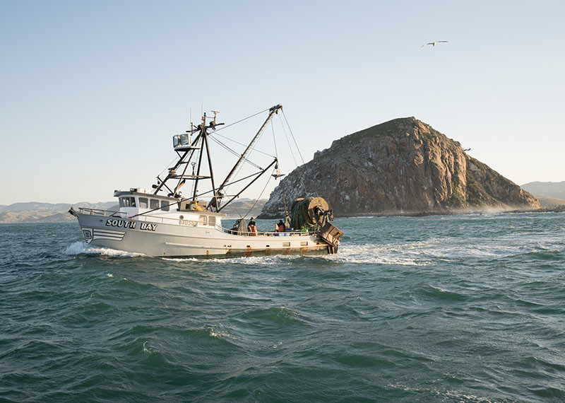 Skipper-owner Rob Seitz runs his 58-foot trawler South Bay out of Morro Bay, Calif. Corey Arnold photo/http://www.coreyfishes.com/