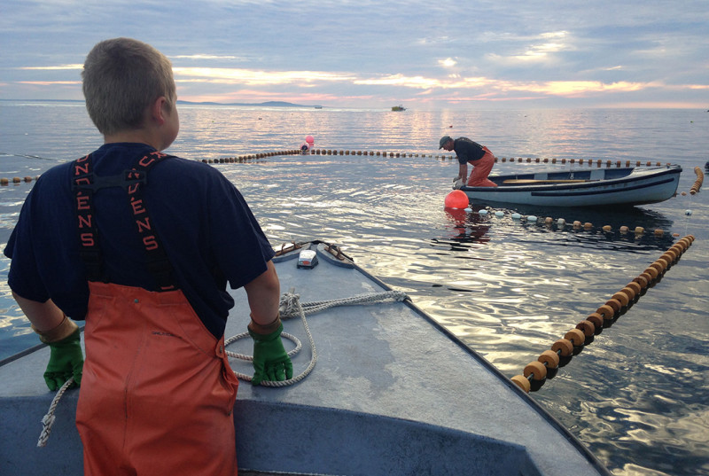 Xander Amuso, 12, apprentice to Rick Alley, watches as Alley checks the bait trap off Little Cranberry Island, Maine, before the pair heads out to haul lobster traps.