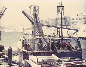 Jerry FV Hard Times 81