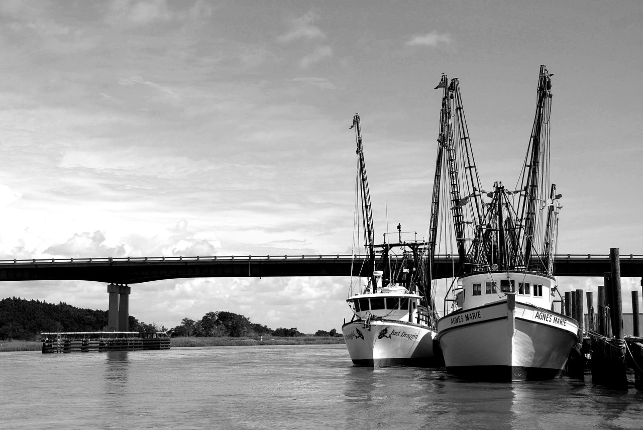 Shrimp Boats