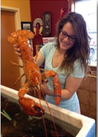Orange lobster