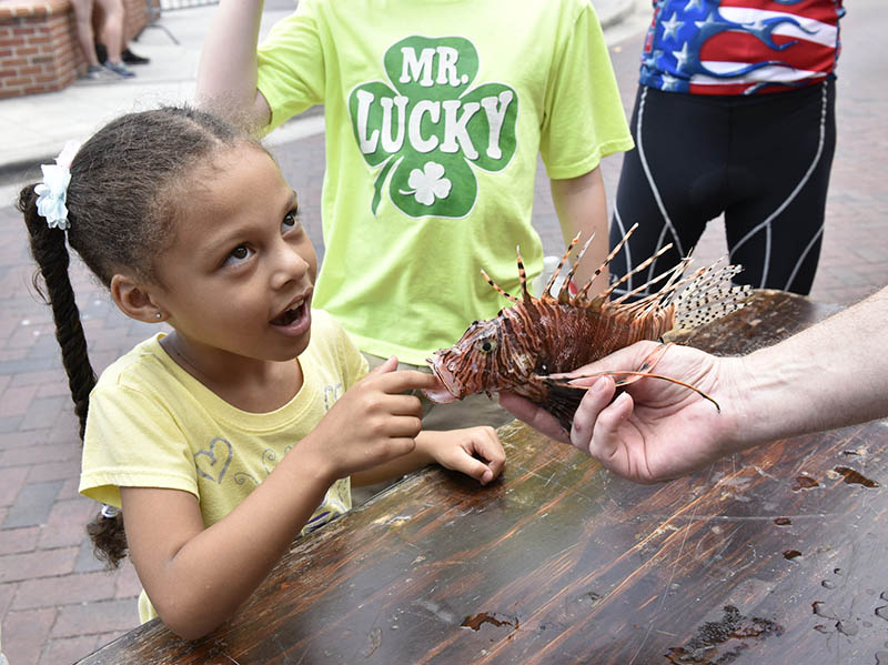 A child gets to touch and see an invasive lionfish as part of Florida's 2017 Lionfish Removal and Awareness Weekend. Florida Fish and Wildlife photo by Tim Donovan.