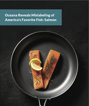 2015 1103 OceanaMislabeling