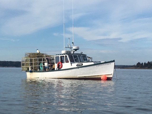 Tom Santaguida fishes for lobsters on the Caroline Elizabeth out of Rockland, Maine. Tom Santaguida photo.