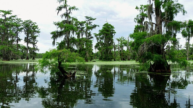 NC fisheries commission forces a gillnet ban