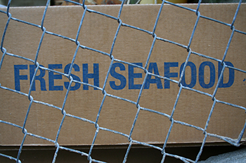 0113 coastlines seafood