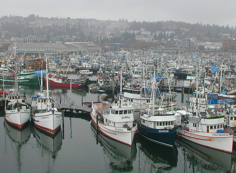Boats tied up at Seattle's Fishermen's Terminal. Susan Chambers photo.
