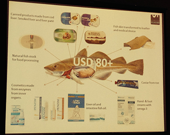 The Iceland Ocean Cluster now claims nearly 95 percent utilization of local cod, a movement that could change the face of the Northeast groundfish industry. Jessica Hathaway photo.