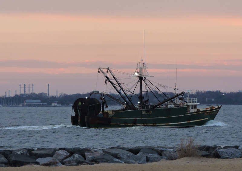 Southern Crusader II