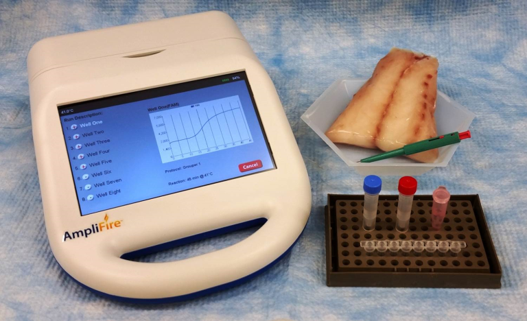 2016 1024 GrouperChek AmpliFire 768x468