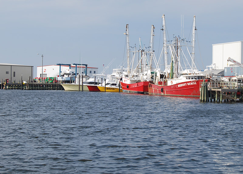 Shrimp boats tied up in Wanchese, NC. Creative Commons photo by Geographer.