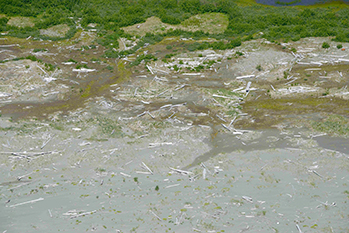 2015 0803 SORTINGTABLE