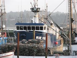 A closure of the Newport, Ore., Coast Guard air rescue station has spawned a petition drive to keep it operating. Port of Newport, Ore., photo