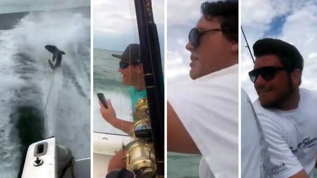 Man drags shark from the water to take selfie