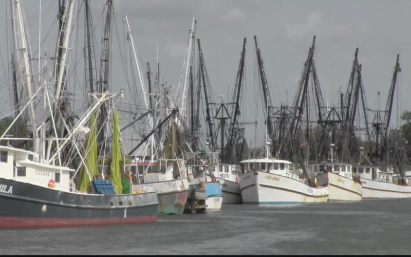 Brownsville, Texas, shrimp fleet