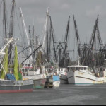 Brownsville, Texas, shrimp fleet