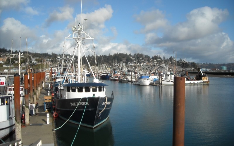 Oregon's Newport Harbor. Creative Commons photo by D. Reinhart.