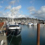 Oregon's Newport Harbor. Creative Commons photo by D. Reinhart.